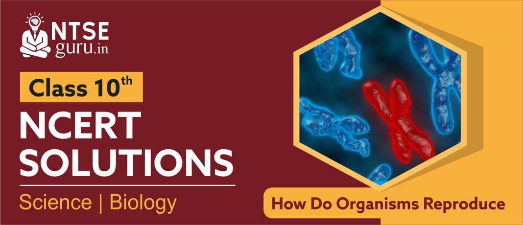how do organisms reproduce
